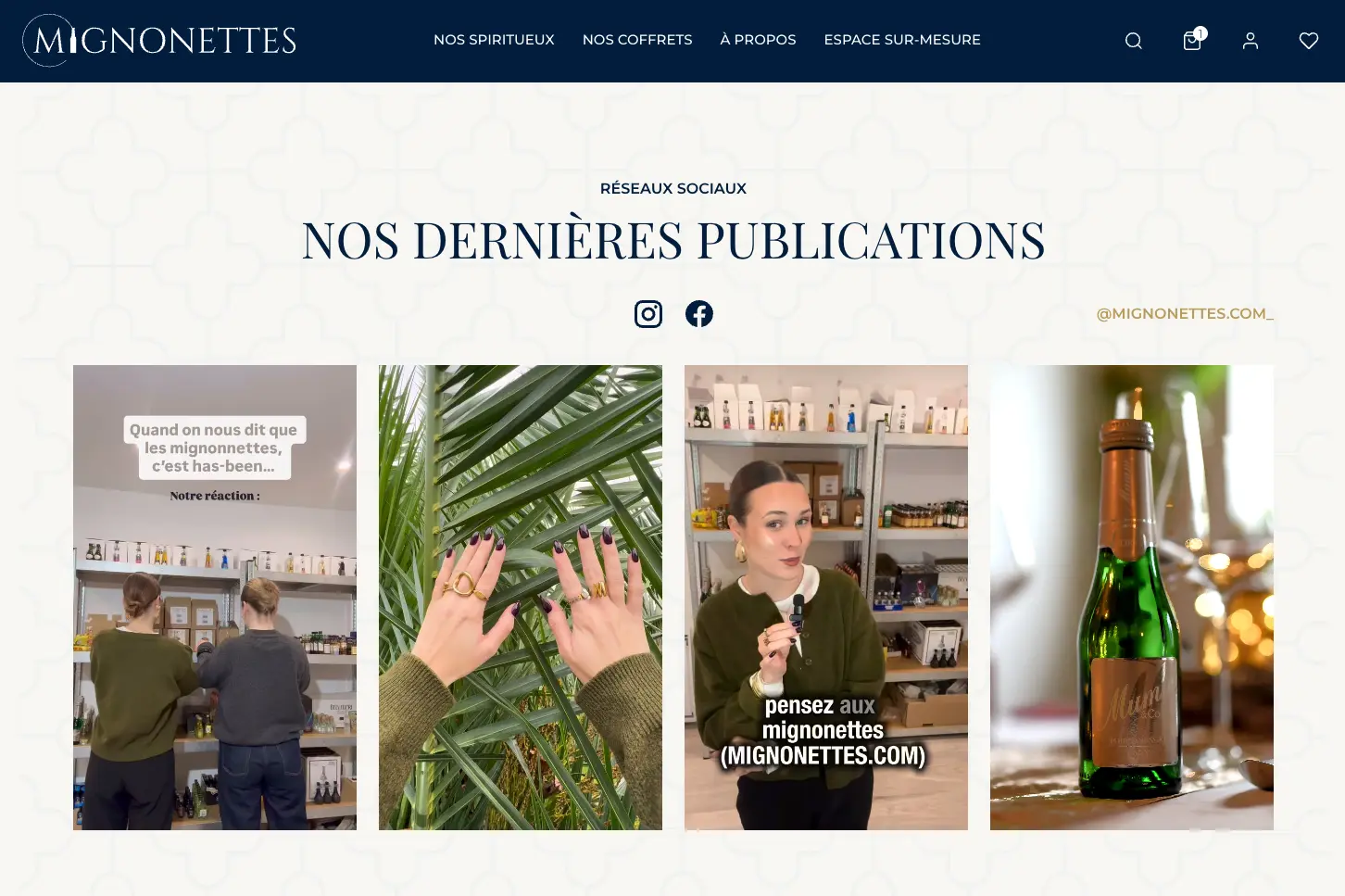 Intégration des réseaux sociaux